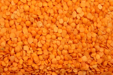 Red Lentils